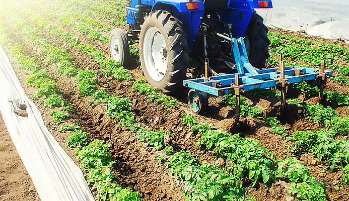 포토 JPG 해외이미지 식물 산업 밭 농업 채소 감자 사람없음 초록색 물 농작물 농장 농경지 경작 흙 봄 장비 성장 농부 유기농 뿌리 트랙터 삭제 개선 돌봄 밭일 심기 줄서기 지원 개조 해외포토 자연요소 직업 웰빙 계절 컬러 모션 농사 농기계 특수차량 파일형식 이미지허브
