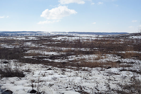 포토 JPG 해외이미지 나무 구름 겨울 자연 하늘 풍경 사람없음 야외 시골 숲 해외포토 자연요소 식물 계절 생태계 파일형식 이미지허브