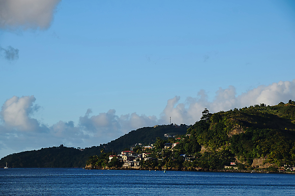 포토 JPG 해외이미지 나무 모래 바다 섬 여행 백그라운드 자연 하늘 휴가 열대 손바닥 풍경 사람없음 초록색 물 여름 파란색 모래사장 컬러풀 야자수 맑음 만 크루즈 휴양지 포트 석호 카리브해 이국적 터키석 파라다이스 해외포토 자연요소 식물 손 계절 컬러 배_교통 날씨 장소 보석 생태계 파일형식 이미지허브