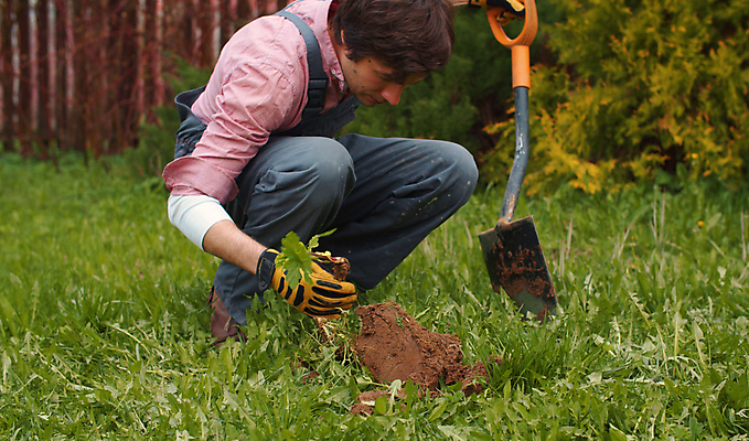 포토 JPG 해외이미지 백인 라이프스타일 계절 남자 행복 농업 청소년 자연 노동자 건강 한명 잔디 야외 초록색 농장 정원 봄 시골 잡기 잡초 농부 삽 심플 리빙 땅바닥 밭일 원예사 파종 해외포토 서양인 식물 직업 1 감정 산업 컬러 모션 바닥 사람 생활 농사 생태계 파일형식 이미지허브