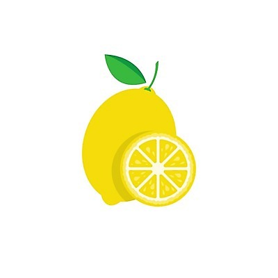 EPS 해외이미지 잎 일러스트 단면 사람없음 노란색 레몬 해외일러스트 식물 컬러 과일 파일형식 벡터 이미지허브