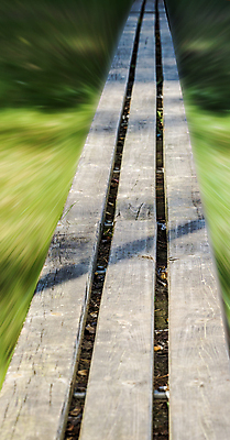 포토 JPG 해외이미지 디자인 외관 공원 가구 백그라운드 벤치 표면 날씨 추상 휴식 바닥 사람없음 야외 목재 가로 초록색 갈색 우주 회색 수확 시골 보행자 널 질감 복고 옛날 해외포토 나무 공공시설 컬러 생활용품 컨셉 무늬 농업 의자 재료 파일형식 이미지허브