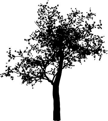 EPS 해외이미지 클립아트 나무 템플릿 공원 실루엣 줄기 낙엽 곡선 일러스트 자연 그림자 야외 그래픽 환경 수확 낙서 큼 스케치 자르기 관목 흰배경 복고 생물학 내추럴 고립 삼림지대 현실 해외일러스트 식물 공공시설 교육 선 백그라운드 잎 농업 모션 촬영기법 미술 흰색 숲 크기 생태계 파일형식 벡터 이미지허브