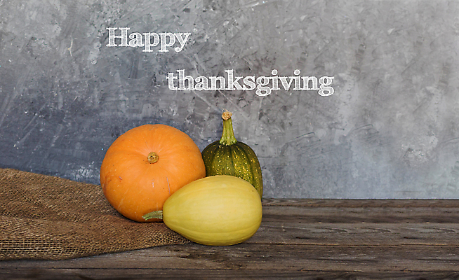 포토 JPG 해외이미지 전통 배너 계절 행복 문화 음식 백그라운드 채소 오렌지 텍스트 호박 휴가 타이포그라피 사람없음 목재 장식 미국 어둠 침묵 수확 가을 축하 인사 신용카드 그룹 메시지 닫기 11월 감사 박 미국문화 추수감사절 10월 카피스페이스 해외포토 나무 문자 감정 기독교 컨셉 북아메리카 농업 과일 재료 모션 금융 소리 공백 예절 날짜 서양문화 파일형식 이미지허브