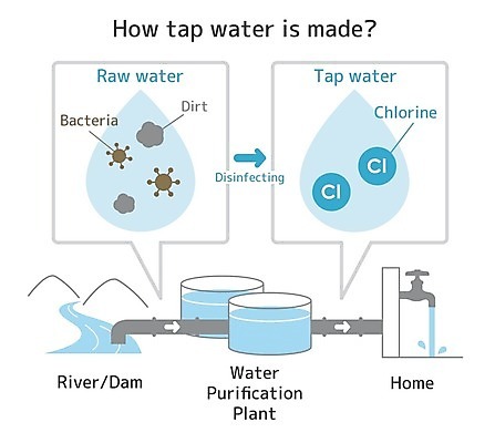 EPS 해외이미지 식물 디자인 교육 과학 컨셉 일러스트 비즈니스 학교 그래픽 물 강 픽토그램 웹 플랫 당구 그림 심플 먼지 해결 박테리아 고립 엘리먼트 이산화탄소 화학물질 해외일러스트 자연요소 인터넷 의학 구기 화학 파일형식 벡터 이미지허브