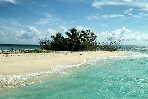 포토 JPG 해외이미지 식물 구름 모래 파도 바다 섬 요트 교통시설 자연 하늘 휴가 항해 풍경 해변 사람없음 야외 물 여름 파란색 야자수 햇빛 태양 보트 크루즈 파라다이스 해외포토 자연요소 나무 계절 컬러 교통 배_교통 시설 생태계 파일형식 이미지허브