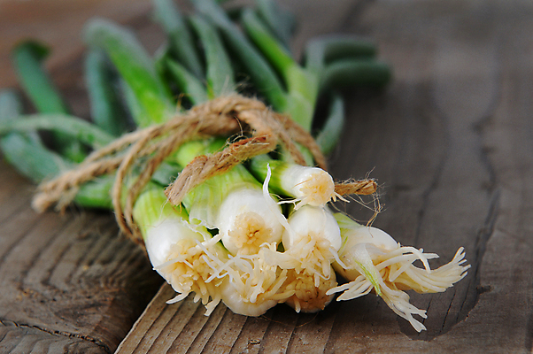 포토 JPG 해외이미지 줄 음식 농업 채소 양파 건강 사람없음 목재 초록색 신선 다발 묶기 유기농 노끈 숙성 채식주의자 해외포토 나무 웰빙 산업 컬러 재료 모션 채식 파일형식 이미지허브