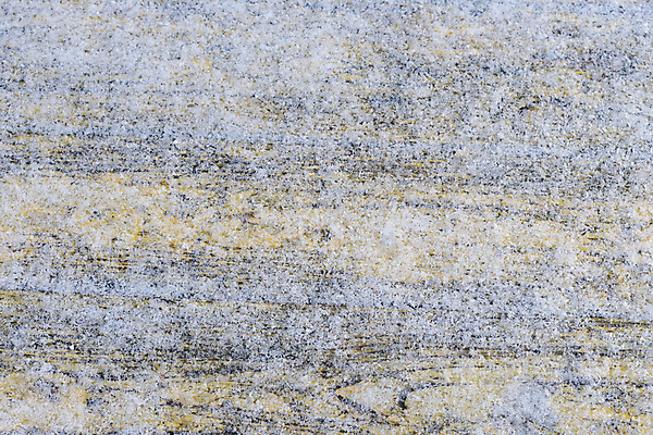 포토 JPG 해외이미지 디자인 배너 계절 벽 조각 백그라운드 크리스마스 겨울 패턴 자연 벽지 탁자 표면 추상 휴가 새로움 프레임 사람없음 목재 장식 우주 냉동 얼음 축제 추위 수확 흰색 시골 축하 인사 판넬 신용카드 눈송이 널 정상 12월 질감 복고 서리 내추럴 그런지 옛날 카피스페이스 해외포토 자연요소 나무 기념일 컬러 가구 컨셉 무늬 농업 재료 눈_날씨 금융 공백 예절 날짜 생태계 파일형식 이미지허브