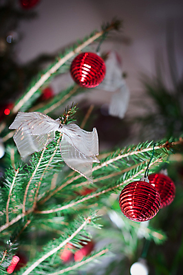 포토 JPG 해외이미지 나무 전통 디자인 계절 백그라운드 크리스마스 겨울 공 유리 휴가 기념 매달리기 사람없음 장식 빨간색 초록색 빛 파티 축제 흰색 나뭇가지 축하 인사 소나무 원형 신용카드 황금 12월 보케 여의주 해외포토 도형 식물 기념일 컬러 컨셉 모션 재질 이벤트 금융 예절 날짜 파일형식 이미지허브