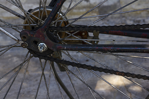 포토 JPG 해외이미지 노년 산업 스포츠 교통시설 영국 기술 실내 한명 사람 사람없음 가로 컬러풀 자전거 수확 도시 업무 작업 얼룩 바퀴 작업실 수리 서비스 복고 출퇴근 순환 노력 격려 고정 정비공 사이클링 기어 그런지 업그레이드 통근 페달 중소기업 해외포토 1 감정 유럽 컬러 교통 농업 회사 비즈니스 모션 성인 내부 바이크 기술자 육상스포츠 시설 출근 파일형식 이미지허브