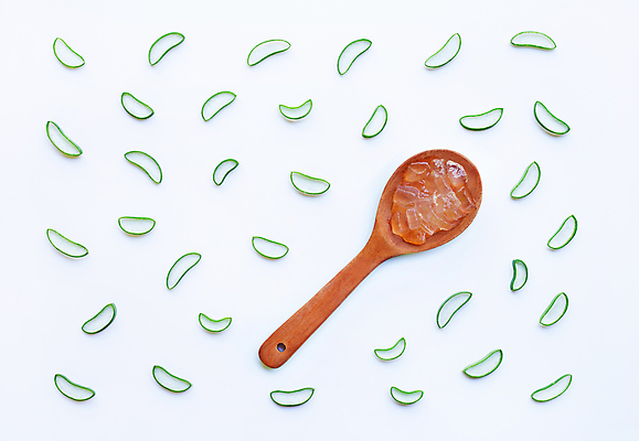 포토 JPG 해외이미지 스튜디오촬영 단면 실내 사람없음 하이앵글 흰배경 알로에 해외포토 식물 뷰포인트 백그라운드 내부 흰색 파일형식 이미지허브