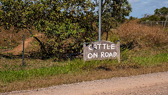 포토 JPG 해외이미지 손 산업 도로 여행 농업 교통시설 경고 사람없음 야외 목재 단어 울타리 농장 여행객 시골 그리기 메시지 소 호주 위험 충돌 편지 사인 예방 조심 공지사항 길가 밭일 수목 해외포토 나무 문자 길 교통 컨셉 재료 포유류 모션 사람 신체부위 담장 오세아니아 시설 파일형식 이미지허브