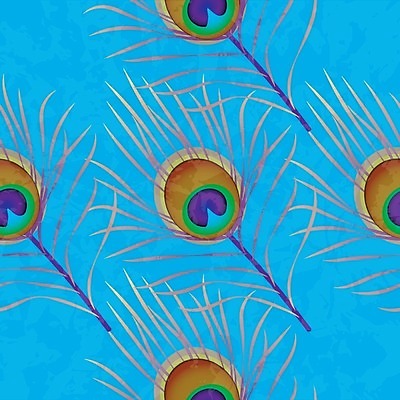 EPS 해외이미지 동물 배너 여자 아시아 종이 어린이 백그라운드 무지개 패턴 일러스트 포장 자연 조류 동물원 선물 상점 직물 플랫 공작 인도인 깃털 질감 심플 초대 동쪽 그런지 엘리먼트 스타일 해외일러스트 자연요소 외국인 나라 무늬 사람 동양인 방향 생태계 파일형식 벡터 이미지허브