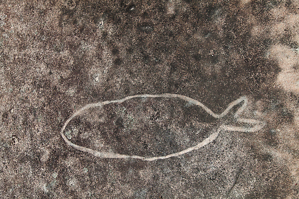 포토 JPG 해외이미지 디자인 종이 벽 백그라운드 패턴 자연 벽지 표면 추상 어류 사람없음 검은색 페인트 회색 바위 흰색 거친 질감 시멘트 그런지 옛날 해외포토 컬러 무늬 수중동물 돌_바위 생태계 파일형식 이미지허브