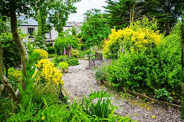포토 JPG 해외이미지 나무 식물 전통 영어 꽃 길 백그라운드 과일 잉글랜드 주택 사람없음 야외 빨간색 초록색 물 여름 장미 평화 정원 초콜릿 고요 벚꽃 침대 제비꽃 시골집 원예 해외포토 자연요소 문자 계절 컬러 가구 컨셉 디저트 영국 취미 건물 파일형식 이미지허브