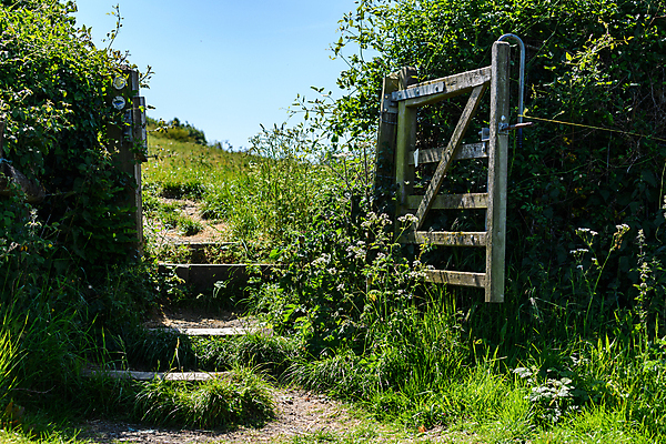포토 JPG 해외이미지 주간 계절 농업 자연 하늘 휴가 영국 잉글랜드 풍경 사람없음 야외 초록색 여름 관광지 울타리 농경지 평화 사진촬영 침묵 봄 시골 땅 그림 장면 방문 내추럴 해외포토 자연요소 유럽 산업 컬러 여행 컨셉 담장 농장 촬영 소리 생태계 파일형식 이미지허브