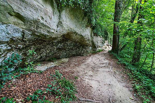 포토 JPG 해외이미지 호수 여행 잎 자연 휴가 휴식 사람없음 야외 물 여름 환경 골짜기 맑음 폭포 하이킹 흐름 에너지 가을 조약돌 바위 물방울 시골 개울 보호 편안함 시원함 분무기 평형 바이에른 해외포토 자연요소 식물 계절 컨셉 레저 날씨 독일 강 수영 돌_바위 감각 생태계 파일형식 이미지허브