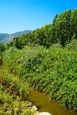 포토 JPG 해외이미지 나무 공원 여행 백그라운드 밭 중동 자연 하늘 풍경 사람없음 야외 초록색 물 여름 파란색 강 도시 개울 지중해 이스라엘 해외포토 자연요소 식물 계절 공공시설 나라 바다 컬러 농업 생태계 서아시아 파일형식 이미지허브