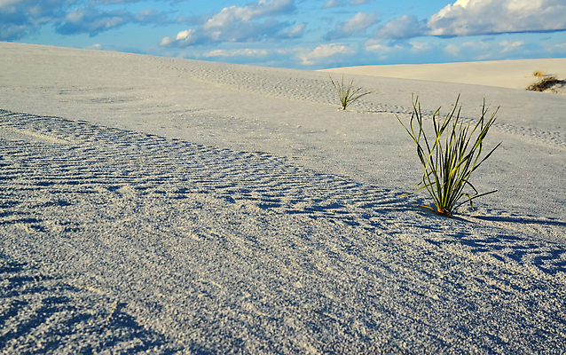 포토 JPG 해외이미지 공원 모래 파도 여행 패턴 자연 하늘 새로움 멕시코 건조 국립공원 풍경 사람없음 야외 모래사장 미국 사막 흰색 황무지 모래언덕 부식 결정체 천연기념물 뉴멕시코 잔물결 전국 지질학 해외포토 공공시설 교육 물결 바다 컬러 컨셉 북아메리카 무늬 언덕 생태계 파일형식 이미지허브