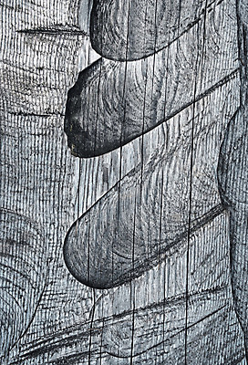 포토 JPG 해외이미지 나무 디자인 백그라운드 패턴 자연 벽지 탁자 표면 추상 바닥 건조 사람없음 목재 장식 울타리 갈색 어둠 회색 수확 거친 정상 낟알 책상 질감 내추럴 그런지 수목 옛날 자취 파스텔톤 해외포토 식물 컬러 가구 무늬 농업 재료 담장 생태계 파일형식 이미지허브