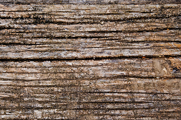 포토 JPG 해외이미지 디자인 벽 표면 바닥 사람없음 목재 장식 판넬 거친 널 질감 복고 내추럴 그런지 수목 카피스페이스 해외포토 나무 재료 공백 파일형식 이미지허브