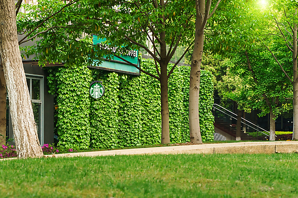 포토 JPG 해외이미지 나무 라이프스타일 디자인 외관 꽃 커피 벽 가구 백그라운드 잎 의자 회사 비즈니스 건축양식 창문 자연 유리 탁자 휴식 실내 사람없음 야외 내부 건물 목재 장식 초록색 단어 사무실 상점 정원 방 고급 큼 심볼 묘사 상업 식민지 철강 해외포토 식물 문자 건축물 건축 음료 컬러 생활용품 컨셉 재료 재질 생활 크기 생태계 파일형식 이미지허브