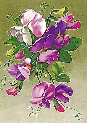 JPG 해외이미지 꽃 일러스트 미술 사람없음 보라색 그림 해외일러스트 식물 컬러 문화예술 파일형식 이미지허브