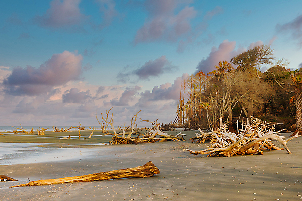포토 JPG 해외이미지 나무 구름 라이프스타일 모래 바다 여행 자연 하늘 풍경 사람없음 목재 물 파란색 침묵 서핑 내추럴 해외포토 자연요소 식물 컬러 재료 생활 소리 수상스포츠 생태계 파일형식 이미지허브
