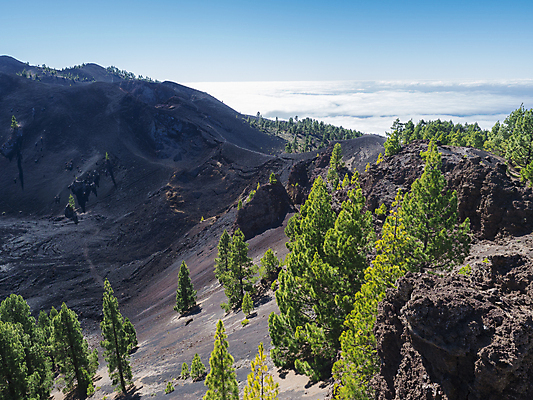 포토 JPG 해외이미지 나무 유럽 길 모래 섬 여행 백그라운드 자국 자연 하늘 산 파노라마 풍경 사람없음 빨간색 초록색 컬러풀 태양 걷기 환경 검은색 트래킹 하이킹 사막 소나무 황무지 스페인 숲 화산 분화구 용암 내추럴 로스앤젤레스 루트 해외포토 자연요소 식물 나라 컬러 모션 레저 촬영기법 미국 생태계 파일형식 이미지허브