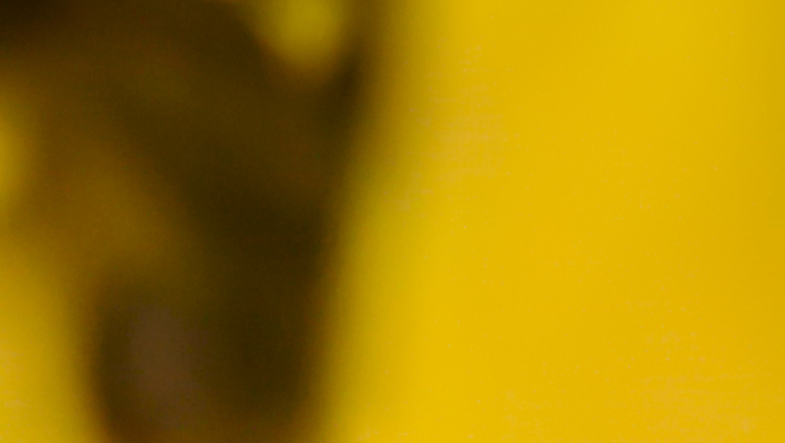 포토 JPG 해외이미지 템플릿 디자인 배너 포스터 벽 백그라운드 컨셉 패턴 오렌지 자연 벽지 추상 따뜻함 미술 경사 사람없음 그래픽 장식 빛 컬러풀 태양 노란색 우주 맑음 검은색 공백 신용카드 황금 우아함 매끈함 질감 부드러움 내추럴 블러 스타일 효과 해외포토 자연요소 컬러 무늬 과일 날씨 문화예술 금융 감각 생태계 파일형식 이미지허브