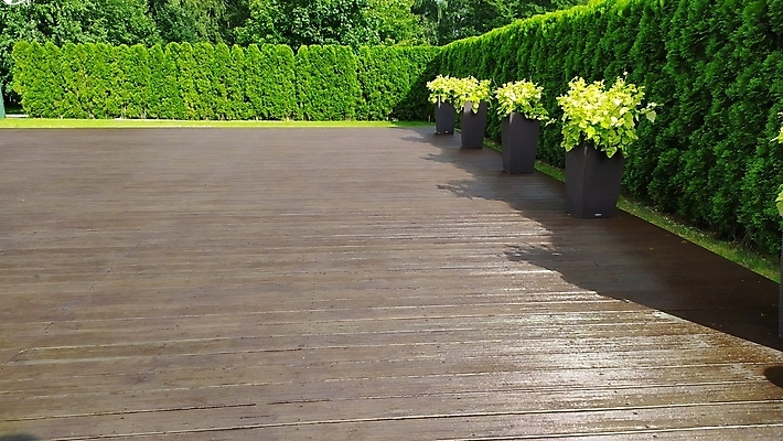 포토 JPG 해외이미지 식물 디자인 외관 꽃 화분 벽 분홍색 백그라운드 잎 꽃무늬 자연 취미 사람없음 야외 목재 장식 빨간색 초록색 여름 컬러풀 정원 흙 봄 성장 벚꽃 발코니 바위 도구 신선 냄비 배열 원예 리빙 내추럴 돌봄 심기 원예사 해외포토 나무 직업 계절 컬러 무늬 재료 모션 돌_바위 솥 생태계 파일형식 이미지허브