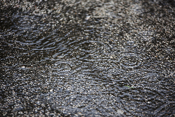 포토 JPG 해외이미지 계절 공원 행복 도로 물결 백그라운드 자연 놀이 표면 날씨 추상 거리 사람없음 야외 빨간색 물 파란색 빛 반사 노란색 점프 어둠 봄 산책 기쁨 젖음 가을 물방울 도시 액체 보행로 떨어짐 아스팔트 빗방울 질감 웅덩이 먼지 폭풍 내추럴 스플래쉬 해외포토 자연요소 공공시설 감정 길 컬러 컨셉 무늬 교통시설 모션 휴식 비_날씨 생태계 파일형식 이미지허브