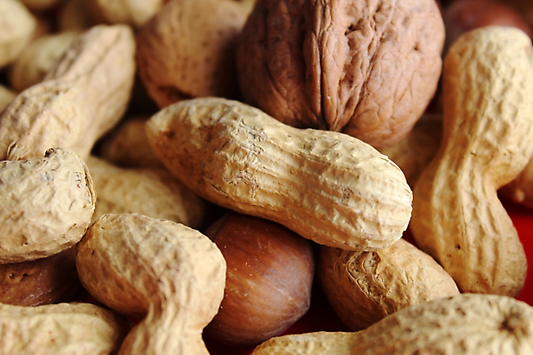 포토 JPG 해외이미지 음식 백그라운드 과일 건조 건강 사람없음 견과류 만취 묘사 유기농 질감 땅콩 호두 아몬드 섞기 채식주의자 피스타치오 헤이즐넛 비건 해외포토 웰빙 채식 술취함 파일형식 이미지허브