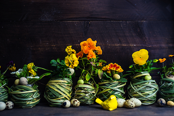 포토 JPG 해외이미지 나무 식물 식기 접시 꽃 백그라운드 꽃무늬 탁자 휴가 부활절 프레임 사람없음 초록색 파란색 세트 노란색 계란 축제 봄 벚꽃 나뭇가지 시골 반지 도자기 신용카드 체리 둥지 은색 냅킨 서빙 설정 구성 비올라 삼색 파스텔톤 카피스페이스 해외포토 계절 기념일 컬러 가구 무늬 과일 장신구 금융 알 공백 파일형식 찰현악기 이미지허브