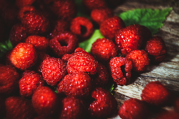 포토 JPG 해외이미지 열매 음식 백그라운드 잎 다이어트 과일 재료 자연 탁자 딸기 디저트 건강 사람없음 목재 가로 빨간색 초록색 식사 주스 활발 흰색 신선 그룹 달콤 맛 아침식사 먹기 상쾌 유기농 질감 블루베리 날것 산딸기 블랙베리 내추럴 고립 숙성 영양분 채식주의자 핸드메이드 해외포토 나무 식물 웰빙 감정 음료 컬러 가구 컨셉 모션 생태계 채식 파일형식 이미지허브