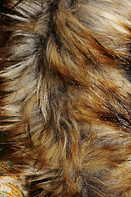 포토 JPG 해외이미지 헤어스타일 여자 갈색머리 건강 종류 사람없음 빨간색 빛 세트 컬러풀 금발 갈색 노란색 유행 상점 검은색 어둠 팔레트 황금 고급 매끈함 질감 잠금 염색 공평 내추럴 돌봄 스타일 강조 해외포토 컬러 컨셉 모션 사람 감각 보안 파일형식 이미지허브