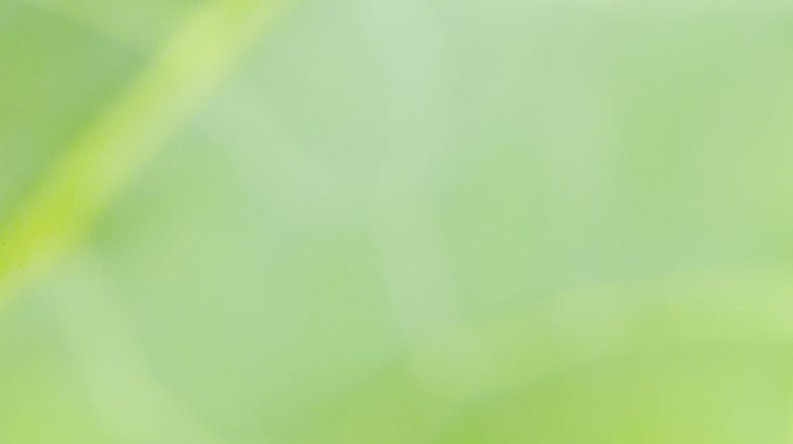 포토 JPG 해외이미지 나무 식물 템플릿 배너 계절 지구 백그라운드 잎 자연 벽지 추상 휴식 경사 사람없음 그래픽 초록색 빛 햇빛 태양 환경 정원 봄 에너지 흰색 신선 매끈함 소프트포커스 질감 보케 부드러움 개발 바이오 블러 생태학 그리너리 효과 해외포토 자연요소 교육 컬러 컨셉 무늬 촬영기법 감각 생태계 파일형식 트랜드컬러 이미지허브