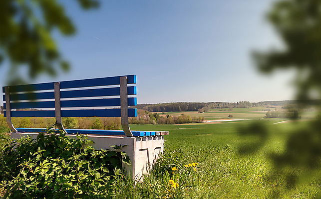 포토 JPG 해외이미지 나무 식물 계절 공원 도로 길 백그라운드 단풍 잎 벤치 의자 오렌지 자연 휴식 풍경 잔디 사람없음 야외 목재 빨간색 초록색 여름 컬러풀 햇빛 태양 노란색 우주 정원 맑음 봄 가을 도시 황금 저녁 숲 10월 해외포토 자연요소 공공시설 컬러 가구 컨셉 과일 재료 교통시설 날씨 날짜 야간 생태계 파일형식 이미지허브
