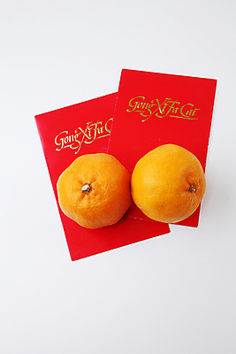 포토 JPG 해외이미지 아이콘 전통 계절 문화 백그라운드 오렌지 과일 봉투 새로움 귤 기념 선물 동양인 이벤트 사람없음 빨간색 축제 중국 침묵 흰색 축하 최고 행운 축복 연도 동쪽 고립 해외포토 아시아 컬러 컨셉 인종 소리 방향 파일형식 이미지허브