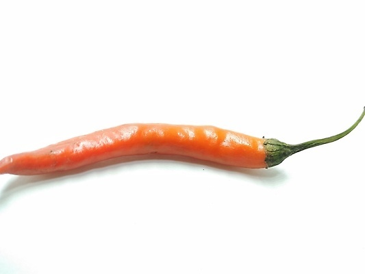 포토 JPG 해외이미지 식물 음식 백그라운드 토마토 채소 재료 고추 멕시코 콩 파프리카 건강 육류 요리 사람없음 빨간색 초록색 주방 식사 저녁식사 소고기 흰색 신선 뜨거움 양념 먹기 향신료 묘사 오브젝트 유기농 매움 후추 칠레 연소 고립 살사댄스 숙성 페퍼로니 해외포토 웰빙 컬러 북아메리카 식재료 모션 곡류 춤 남아메리카 소시지 맛 향미료 파일형식 이미지허브