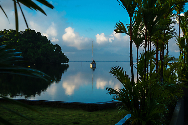 포토 JPG 해외이미지 식물 라이프스타일 호수 스포츠 바다 백그라운드 요트 오렌지 자연 하늘 아침 항해 풍경 사람없음 초록색 물 파란색 컬러풀 태양 반사 환경 힘 침묵 자유 보트 틈 크루즈 주차 관목 속도 네비게이션 돛대 포트폴리오 해외포토 주간 자연요소 나무 컬러 컨셉 배_교통 과일 생활 소리 생태계 파일형식 이미지허브