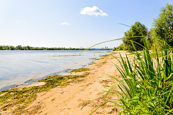 포토 JPG 해외이미지 나무 식물 구름 모래 자연 하늘 풍경 사람없음 야외 물 여름 파란색 강 맑음 시골 도시 버드나무 타운 해외포토 자연요소 계절 컬러 날씨 생태계 파일형식 이미지허브
