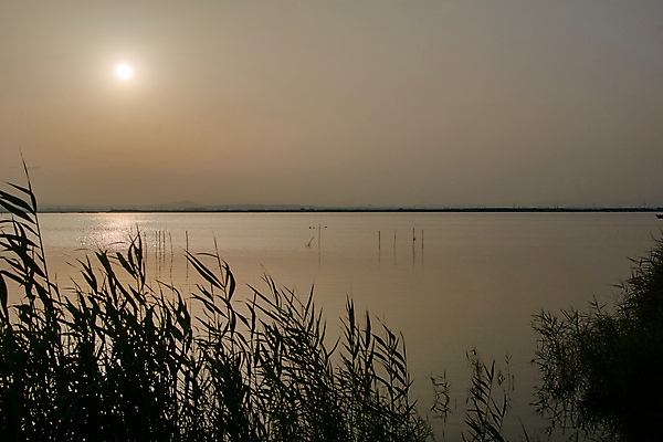 포토 JPG 해외이미지 라이프스타일 공원 유럽 호수 여행 자연 조류 하늘 아침 산 파노라마 사랑 풍경 사람없음 야외 초록색 물 여름 파란색 태양 반사 평화 일출 계곡 침묵 고요 일몰 봄 젖음 안개 나뭇가지 연못 숲 브런치 석호 뿌연 전국 해외포토 주간 자연요소 나무 동물 계절 공공시설 감정 나라 컬러 컨셉 날씨 촬영기법 생활 노을 식사 소리 생태계 파일형식 이미지허브