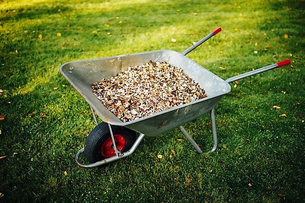 포토 JPG 해외이미지 나무 백그라운드 농업 잔디 사람없음 야외 목재 빨간색 초록색 여름 환경 정원 맑음 수레 재활용 장비 가을 나뭇가지 신선 업무 가득함 유기농 원예 낭비 뒤뜰 무생채 해외포토 식물 웰빙 계절 산업 컬러 컨셉 재료 날씨 취미 카트 작업 친환경 파일형식 이미지허브