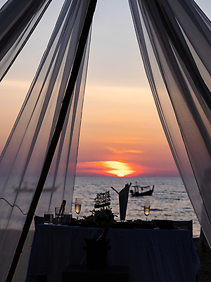 포토 JPG 해외이미지 꽃 아시아 음식 모래 바다 섬 여행 가구 결혼 의자 태국 자연 탁자 하늘 호텔 휴가 휴식 손바닥 사람없음 야외 목재 물 여름 파란색 태양 식당 정원 저녁식사 카페 신혼여행 흰색 고급 휴양지 발리 인도네시아 몰디브 이국적 해외포토 자연요소 나무 식물 손 계절 나라 컬러 생활용품 컨셉 재료 숙소 이벤트 상점 식사 장소 생태계 파일형식 이미지허브