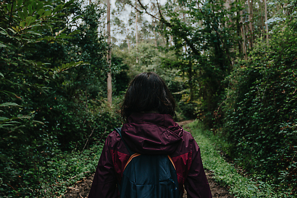 포토 JPG 해외이미지 감정 도로 잎 곡선 모션 사람없음 가로 컬러풀 평화 화목 고요 활발 운전 젖음 흐름 탐험 성장 고속도로 호주 떨어짐 매끈함 위험 신비 열대우림 태평양 개성 진흙 공상 흐림 다운로드 굴곡 깊이 루트 방법 숨기 카피스페이스 해외포토 식물 길 선 바다 컬러 컨셉 교통시설 날씨 공백 감각 오세아니아 숲 파일형식 이미지허브