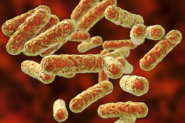 포토 JPG 해외이미지 과학 일러스트 사람 사람없음 컬러풀 약 3D 고양이 고통 바이러스 벌레 질병 감염 전염 미생물 많음 해외일러스트 감정 컬러 곤충 컨셉 포유류 의학 생물 반려동물 디지털합성 파일형식 이미지허브