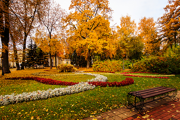 포토 JPG 해외이미지 주간 공원 단풍 낙엽 벤치 단풍나무 풍경 사람없음 야외 주황색 가을 화단 해외포토 자연요소 나무 계절 공공시설 컬러 잎 의자 파일형식 이미지허브