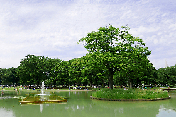 포토 JPG 해외이미지 나무 식물 구름 디자인 계절 공원 호수 잎 밭 자연 하늘 휴가 풍경 이벤트 잔디 사람없음 초록색 물 여름 반사 소풍 정원 일본 봄 모임 연못 신선 일반 내추럴 해외포토 자연요소 공공시설 아시아 컬러 농업 야외활동 생태계 파일형식 이미지허브