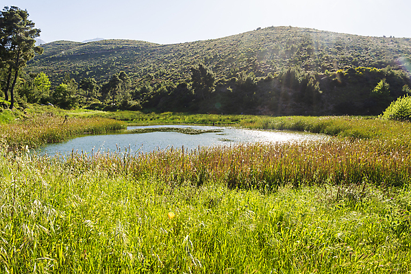 포토 JPG 해외이미지 나무 식물 호수 여행 자연 하늘 산 갈대 풍경 사람없음 야외 초록색 물 파란색 강 햇빛 반사 환경 봄 흐름 시골 습지 댐 홍수 그리스 장면 지역 그리스인 내추럴 콘크리트 해외포토 자연요소 서양인 계절 공공시설 유럽 컬러 컨셉 태양 자연재해 생태계 파일형식 이미지허브